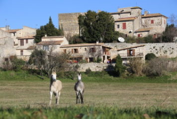 Charmant village typique du Gard