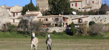 Charmant village typique du Gard