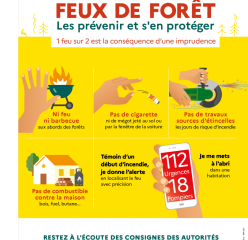 Prévention des incendies de forêt à l’approche de l’été